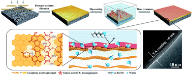 Graphical abstract: Heterostructured graphene oxide membranes with tunable water-capture coatings for highly selective water permeation