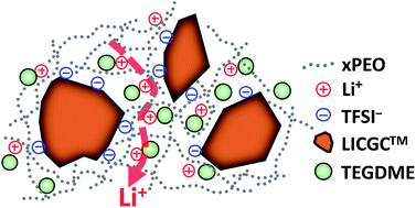 Graphical abstract: Gel composite electrolyte – an effective way to utilize ceramic fillers in lithium batteries