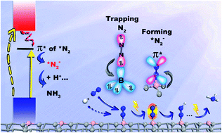 Graphical abstract: A new nitrogen fixation strategy: the direct formation of *N2− excited state on metal-free photocatalyst