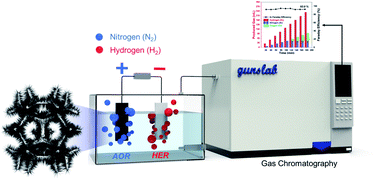 Graphical abstract: A rigorous electrochemical ammonia electrolysis protocol with in operando quantitative analysis