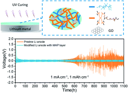 Graphical abstract: A multifunctional artificial protective layer for producing an ultra-stable lithium metal anode in a commercial carbonate electrolyte