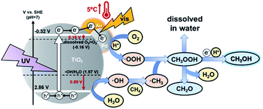 Graphical abstract: Unprecedentedly high efficiency for photocatalytic conversion of methane to methanol over Au–Pd/TiO2 – what is the role of each component in the system?