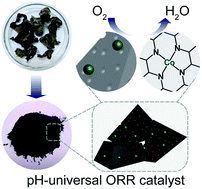 Graphical abstract: In situ exsolved Co components on wood ear-derived porous carbon for catalyzing oxygen reduction over a wide pH range