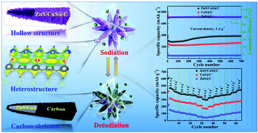 Graphical abstract: Constructing a hollow microflower-like ZnS/CuS@C heterojunction as an effective ion-transport booster for an ultrastable and high-rate sodium storage anode