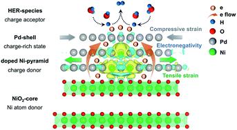 Graphical abstract: Interfacial atomic Ni tetragon intercalation in a NiO2-to-Pd hetero-structure triggers superior HER activity to the Pt catalyst