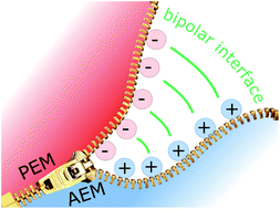 Graphical abstract: On the effect of anion exchange ionomer binders in bipolar electrode membrane interface water electrolysis