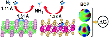 Graphical abstract: First principles and machine learning based superior catalytic activities and selectivities for N2 reduction in MBenes, defective 2D materials and 2D π-conjugated polymer-supported single atom catalysts