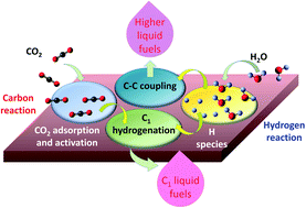 Graphical abstract: Synergistic carbon and hydrogen reactions in the electrochemical reduction of CO2 to liquid fuels