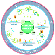 Graphical abstract: Accelerating the redox kinetics by catalytic activation of “dead sulfur” in lithium–sulfur batteries