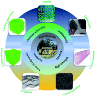 Graphical abstract: Effect of physiochemical properties in biomass-derived materials caused by different synthesis methods and their electrochemical properties in supercapacitors