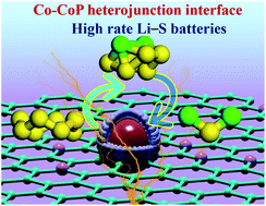 Graphical abstract: Boosting the rate performance of Li–S batteries under high mass-loading of sulfur based on a hierarchical NCNT@Co-CoP nanowire integrated electrode