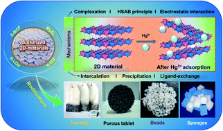 Graphical abstract: Recent advances in effective capture of inorganic mercury from aqueous solutions through sulfurized 2D-material-based adsorbents
