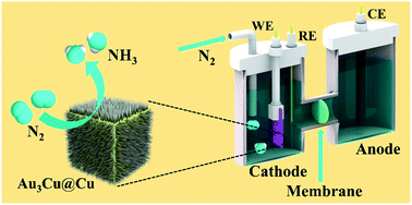 Graphical abstract: Rational construction of Au3Cu@Cu nanocages with porous core–shell heterostructured walls for enhanced electrocatalytic N2 fixation