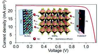 Graphical abstract: Homogeneous doping of entire perovskite solar cells via alkali cation diffusion from the hole transport layer