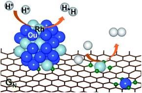 Graphical abstract: Modulation of Cu and Rh single-atoms and nanoparticles for high-performance hydrogen evolution activity in acidic media