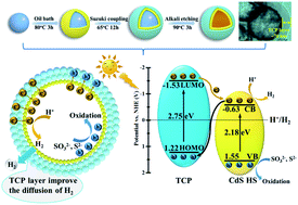 Graphical abstract: Polytriptycene@CdS double shell hollow spheres with enhanced interfacial charge transfer for highly efficient photocatalytic hydrogen evolution