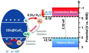 Graphical abstract: Triggering photocatalytic activity of carbon dot-based nanocomposites by a self-supplying peroxide