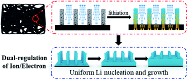 Graphical abstract: Dual-regulation of ions/electrons in a 3D Cu–CuxO host to guide uniform lithium growth for high-performance lithium metal anodes