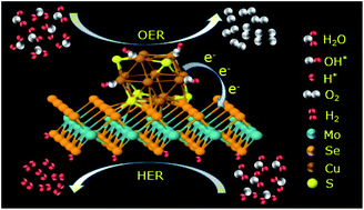 Graphical abstract: Understanding the efficient electrocatalytic activities of MoSe2–Cu2S nanoheterostructures