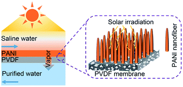 Graphical abstract: Bio-inspired vertically aligned polyaniline nanofiber layers enabling extremely high-efficiency solar membrane distillation for water purification