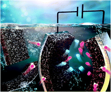 Graphical abstract: Trace amounts of Ru-doped Ni–Fe oxide bone-like structures via single-step anodization: a flexible and bifunctional electrode for efficient overall water splitting