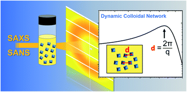 Graphical abstract: Small-angle scattering to reveal the colloidal nature of halide perovskite precursor solutions