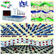 Graphical abstract: Confined assembly of ultrathin dual-functionalized Z-MXene nanosheet intercalated GO nanofilms with controlled structure for size-selective permeation