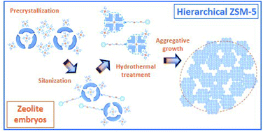 Graphical abstract: Tracking the evolution of embryonic zeolites into hierarchical ZSM-5