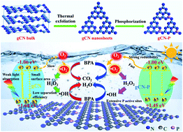 Graphical abstract: Fine tuning of phosphorus active sites on g-C3N4 nanosheets for enhanced photocatalytic decontamination