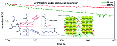 Graphical abstract: Enhancing the stability of perovskite solar cells through cross-linkable and hydrogen bonding multifunctional additives