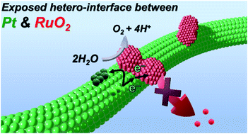 Graphical abstract: Interfacing RuO2 with Pt to induce efficient charge transfer from Pt to RuO2 for highly efficient and stable oxygen evolution in acidic media