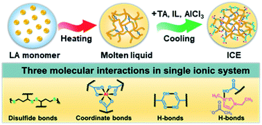 Graphical abstract: Facile solvent-free synthesis of multifunctional and recyclable ionic conductive elastomers from small biomass molecules for green wearable electronics