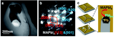 Graphical abstract: Decisive influence of amorphous PbI2−x on the photodegradation of halide perovskites