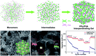 Graphical abstract: Interpenetrating gels as conducting/adhering matrices enabling high-performance silicon anodes