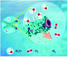 Graphical abstract: Construction of hierarchical IrTe nanotubes with assembled nanosheets for overall water splitting electrocatalysis