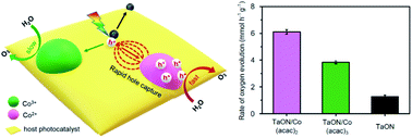 Graphical abstract: A low-valent cobalt oxide co-catalyst to boost photocatalytic water oxidation via enhanced hole-capturing ability