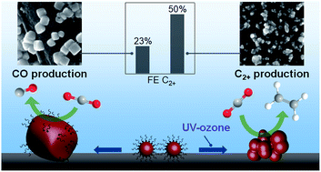 Graphical abstract: Coverage of capping ligands determining the selectivity of multi-carbon products and morphological evolution of Cu nanocatalysts in electrochemical reduction of CO2