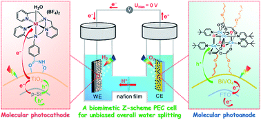 Graphical abstract: A silicon-based hybrid photocathode modified with an N5-chelated nickel catalyst in a noble-metal-free biomimetic photoelectrochemical cell for solar-driven unbiased overall water splitting