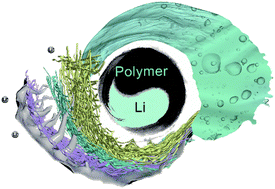 Graphical abstract: Functional polymers in electrolyte optimization and interphase design for lithium metal anodes