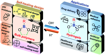 Graphical abstract: Recent progress in self-healing polymers and hydrogels based on reversible dynamic B–O bonds: boronic/boronate esters, borax, and benzoxaborole