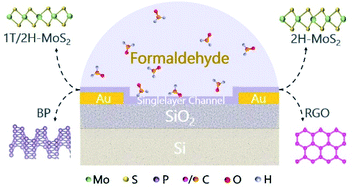 Graphical abstract: Novel insights into the unique intrinsic sensing behaviors of 2D nanomaterials for volatile organic compounds: from graphene to MoS2 and black phosphorous