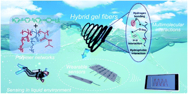 Graphical abstract: Heterogeneous structured tough conductive gel fibres for stable and high-performance wearable strain sensors