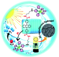 Graphical abstract: Colocalization of light harvesting and catalytic units in a ‘soft’ coordination polymer hydrogel toward visible-light driven photocatalytic hydrogen production
