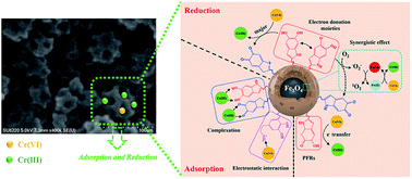 Graphical abstract: Rapid and efficient removal of Cr(vi) by a core–shell magnetic mesoporous polydopamine nanocomposite: roles of the mesoporous structure and redox-active functional groups