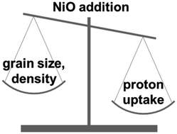 Graphical abstract: Effects of NiO addition on sintering and proton uptake of Ba(Zr,Ce,Y)O3−δ