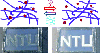 Graphical abstract: Inducing thermoreversible optical transitions in urethane-acrylate systems via ionic liquid incorporation for stretchable smart devices