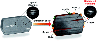 Graphical abstract: Direct observation of the in-plane crack formation of O3-Na0.8Mg0.2Fe0.4Mn0.4O2 due to oxygen gas evolution for Na-ion batteries