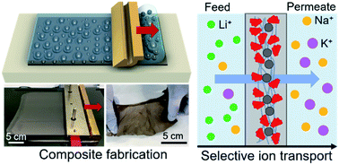 Graphical abstract: Post-transition metal/polymer composites for the separation and sensing of alkali metal ions