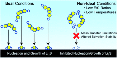 Graphical abstract: Unifying the clustering kinetics of lithium polysulfides with the nucleation behavior of Li2S in lithium–sulfur batteries