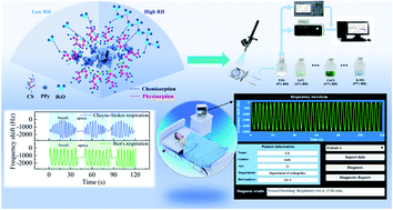 Graphical abstract: A humidity sensing and respiratory monitoring system constructed from quartz crystal microbalance sensors based on a chitosan/polypyrrole composite film